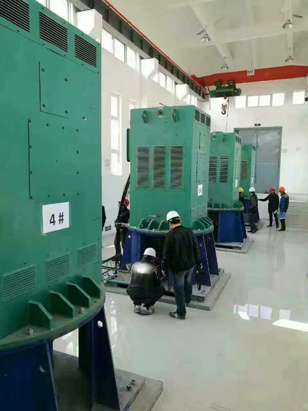 乌拉特中某污水处理厂使用我厂的立式高压电机安装现场