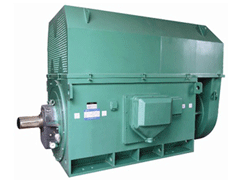 乌拉特中Y系列6KV高压电机